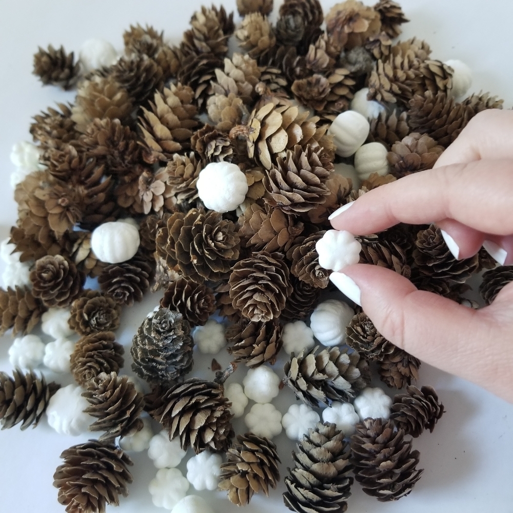 Mini Pinecones & Mini Pumpkins